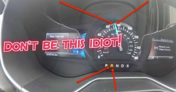 what-happens-if-you-put-your-transmission-in-reverse-while-driving