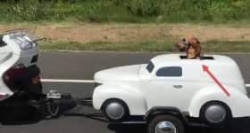 A DOG DRIVING MINI CAR trailer 11