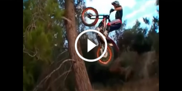 Trial Biker Toni Bou Climbing A Tree 2 play