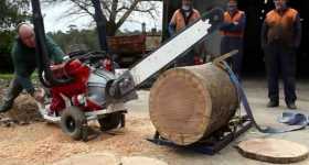 Australian V8 Chainsaw 2