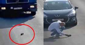 Cat Saver Stops Traffic Russia Save Kitten 1