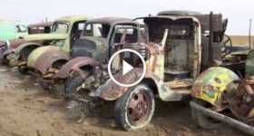 Idaho Junkyard 8000 Cars GEM 1 TN