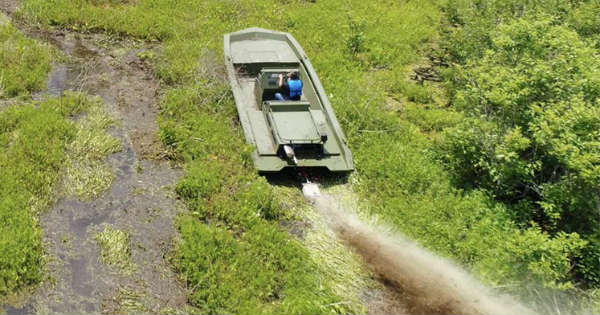 The 21 Riverine Swamp Shark Boat Can Take You Anywhere!