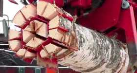 EXTREME Wood Cutting Machine 1