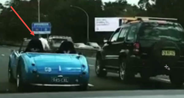 This Could Easily Be The Most Unusual Passenger In A Car 1